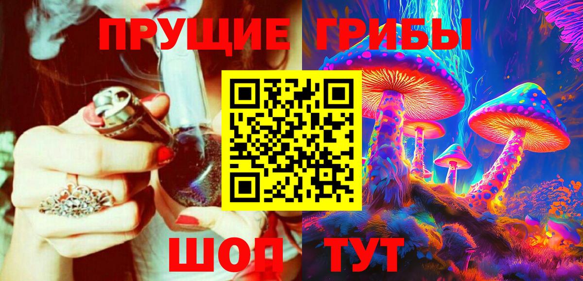 сколько стоит  Вход с VPN  Шелехов  Галлюциногенные грибы Psilocybine cubensis 